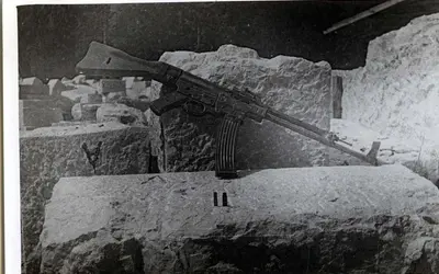 Gallery Image 14