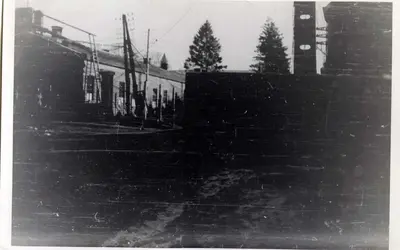 Gallery Image 50