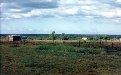 Gallery Image 11