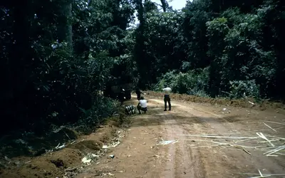 Gallery Image 30