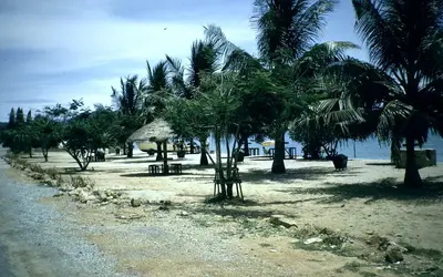 Gallery Image 35