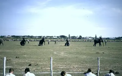 Gallery Image 13