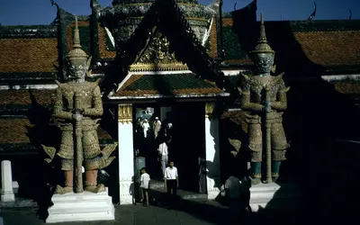 Gallery Image 7