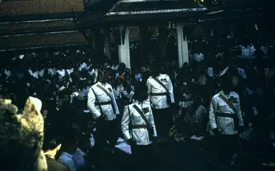Gallery Image 26