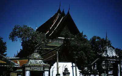 Gallery Image 35