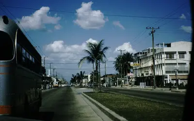 Gallery Image 12