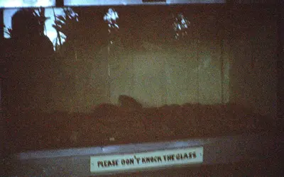 Gallery Image 18
