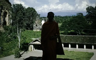 Gallery Image 21