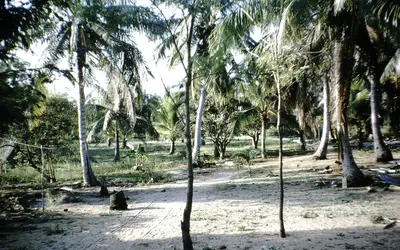 Gallery Image 17