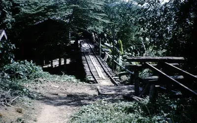 Gallery Image 7