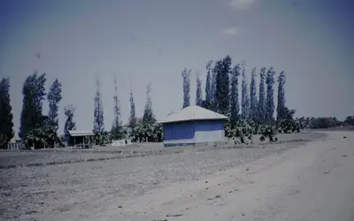 Gallery Image 7