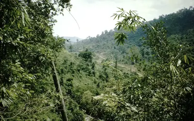 Gallery Image 28