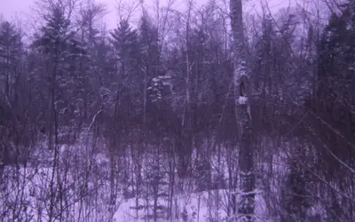 Gallery Image 13