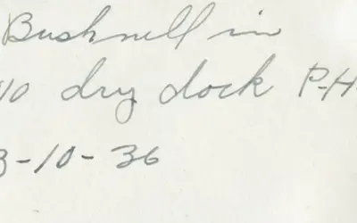 Gallery Image 62