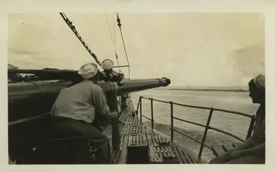 Gallery Image 50