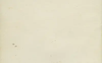 Gallery Image 53