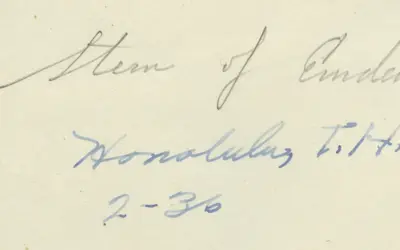 Gallery Image 90