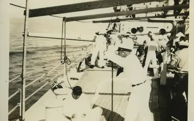 Gallery Image 14